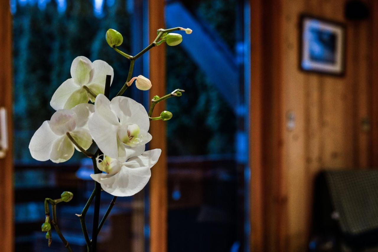 Yeti Lodge Rooms Argentière Buitenkant foto